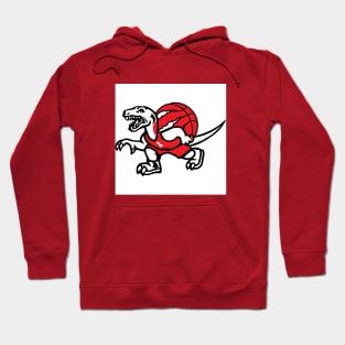 Toronto Raptors Hoodie